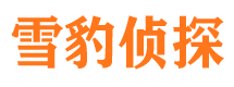 江门找人公司